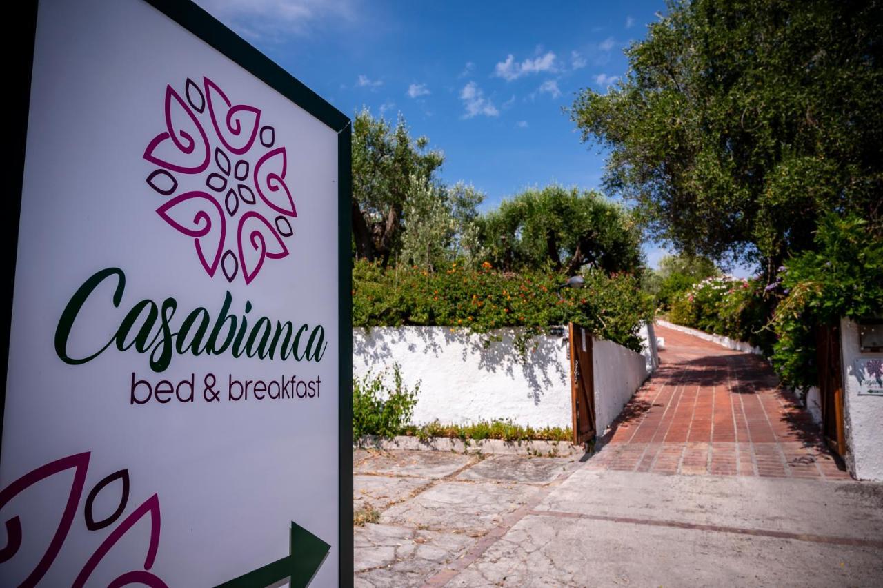 B&B Casabianca Palinuro Exterior foto