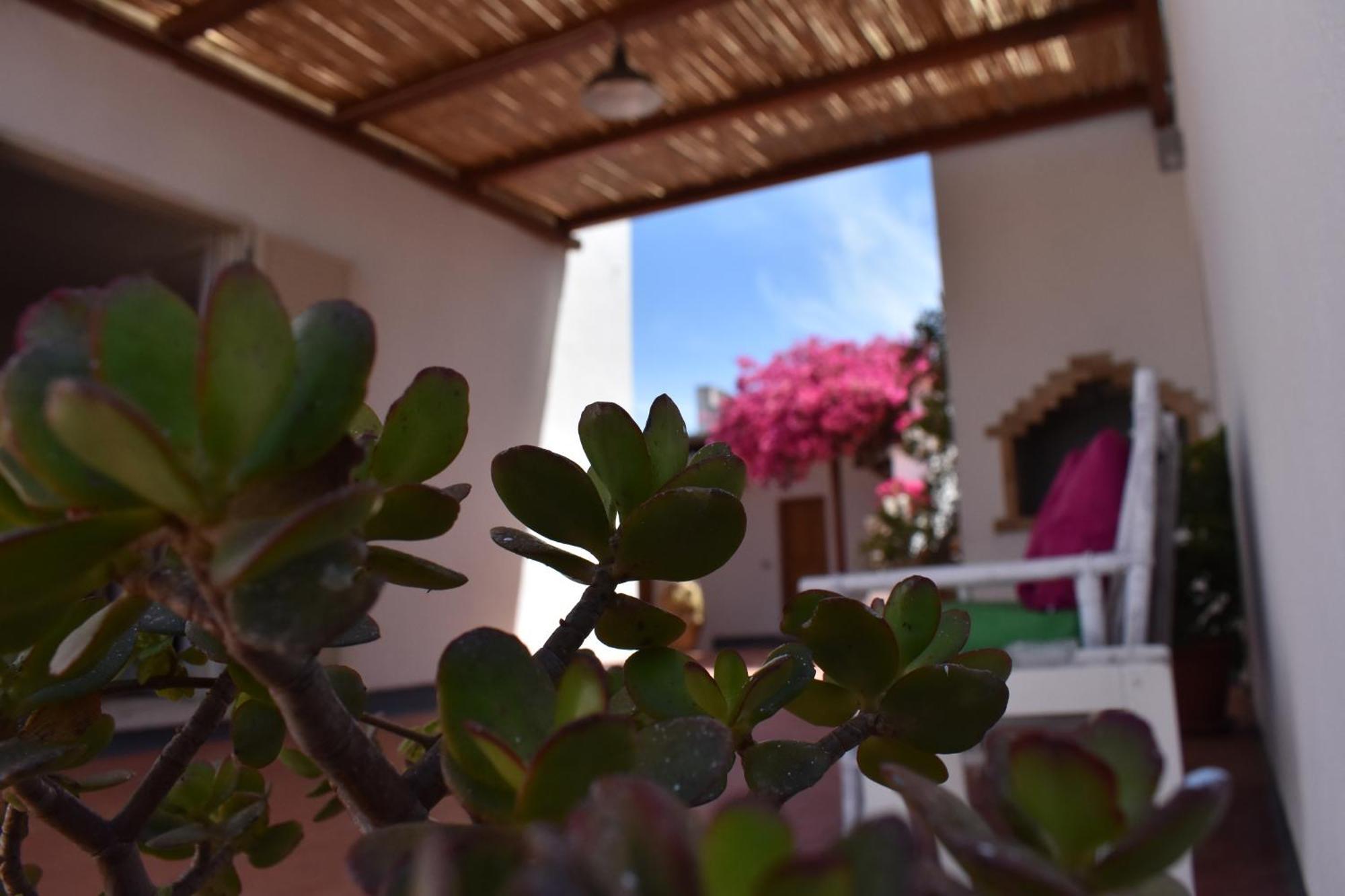B&B Casabianca Palinuro Exterior foto