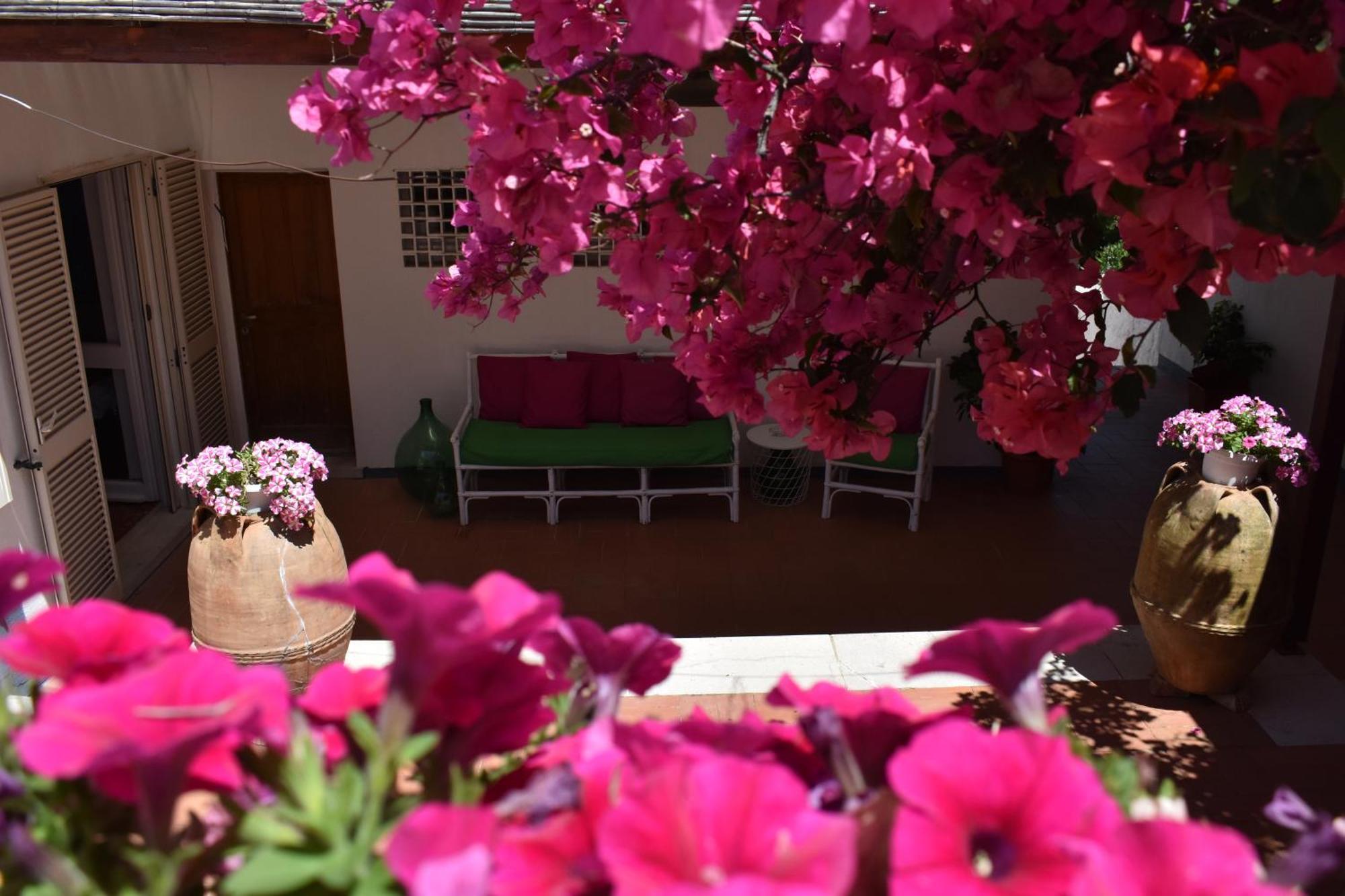 B&B Casabianca Palinuro Exterior foto