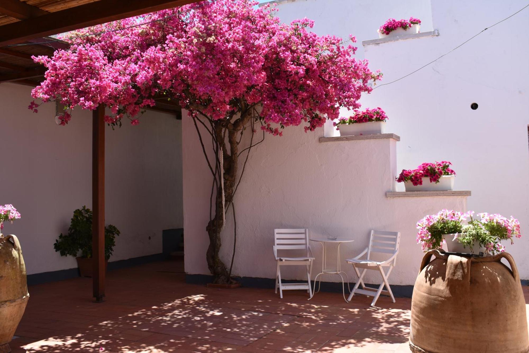 B&B Casabianca Palinuro Exterior foto