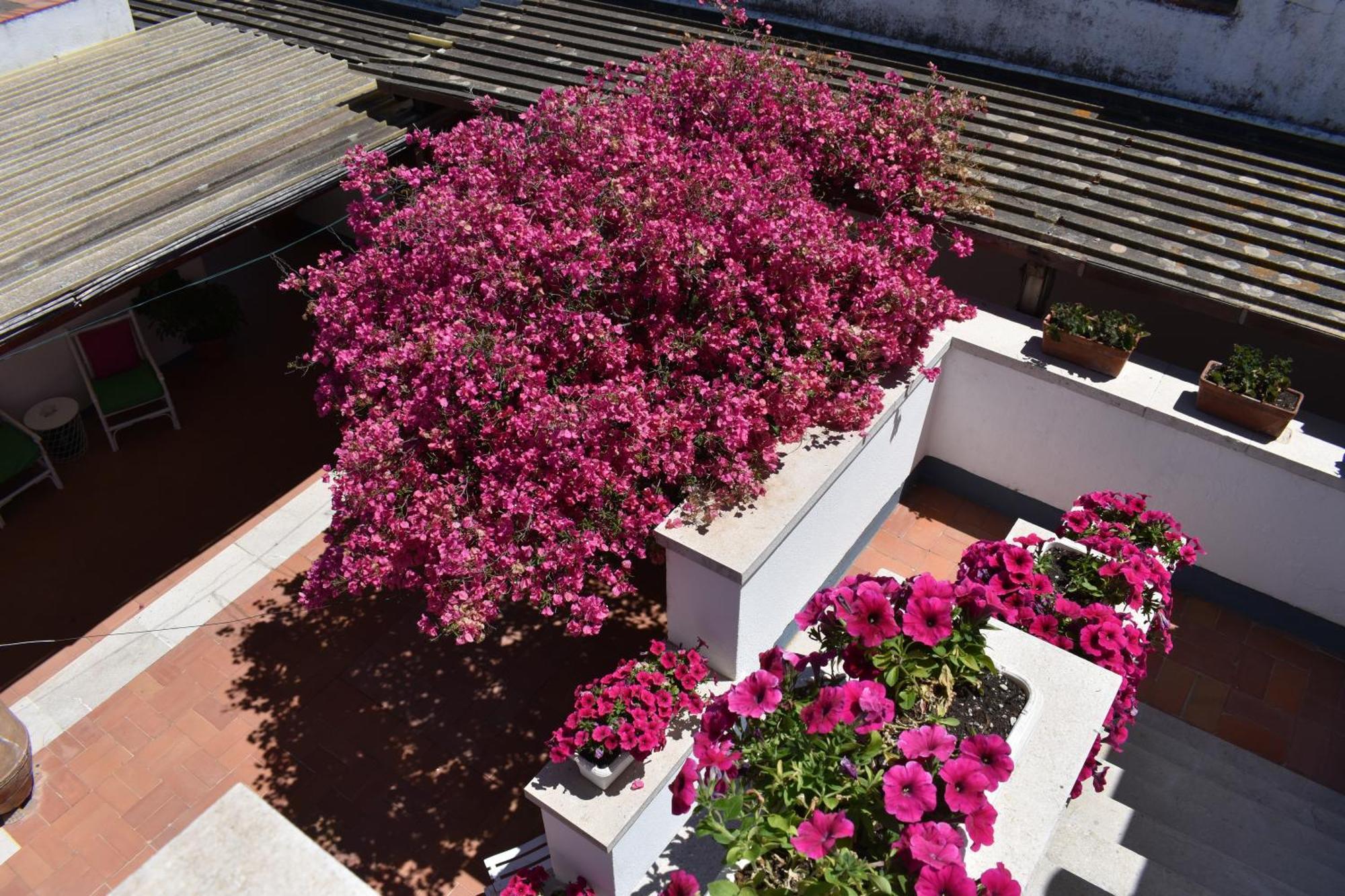 B&B Casabianca Palinuro Exterior foto